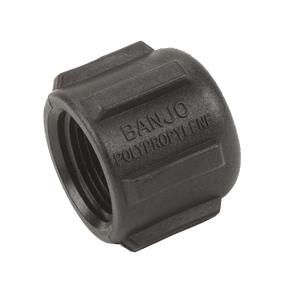 CAP075 (Banjo) Cap-Pipe 3/4 Poly