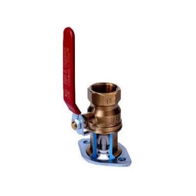 101233LF (Bell & Gossett) | CTF-1-1/4 Check-Trol 1-1/4 X Flange