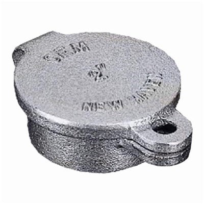 14164 (R.W. Beckett Corp) | Male Hinged Fill Box 2 (Zinc Pl) | Hinged Fill Cap | Cast Iron | MPT