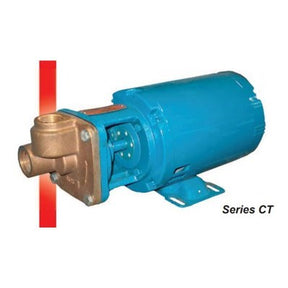 113225 (Burks) | Pump CT5M 1/2HP 3PH 3450RPM BF