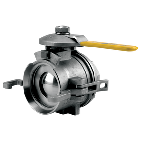 DM200DSS (Banjo) Coupling-2 F X 2 F Ss