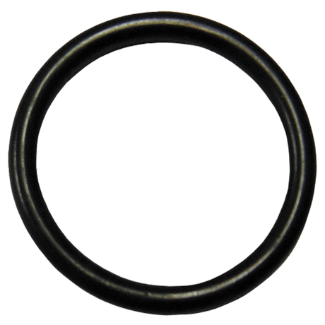 403008 | O-Ring-1-1/4 Acme