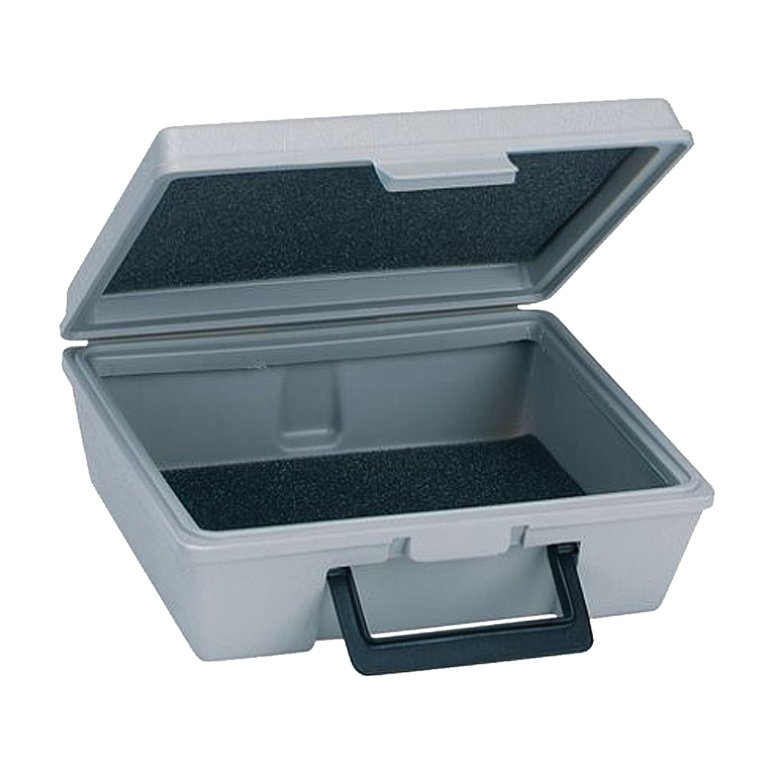 A-401 (Dwyer) Case-Only For A 2020