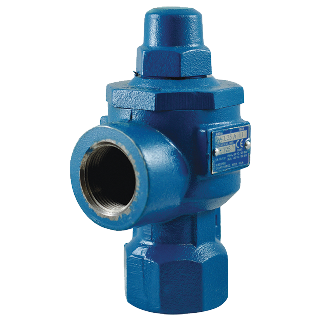 BV1.5A-5-1-0-0 (Blackmer) Valve-Bypass 1-1/2 71-125 Psig