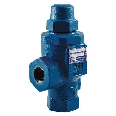 BV1A-4-1-0-0 (Blackmer) Valve-Bypass 1 71-100 Psig