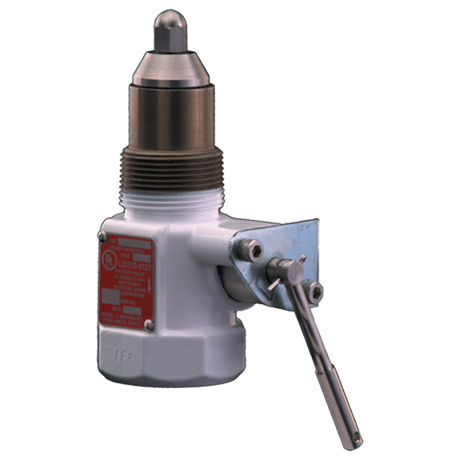 C407-10-05 (Fisher) Valve-Internal 1-1/4Straight Thru Body