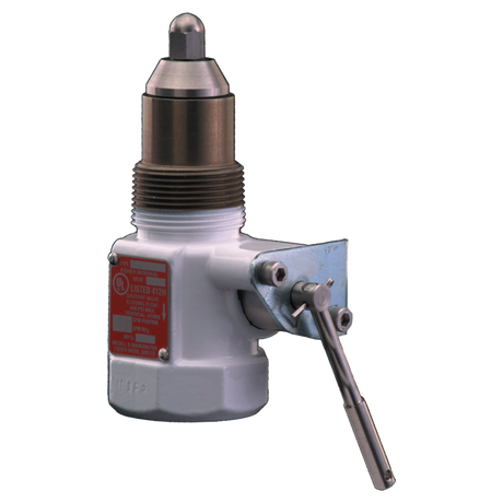 C407M10-05 (Fisher) Valve-Internal 1-1/4Strtthru Bdy Remltch