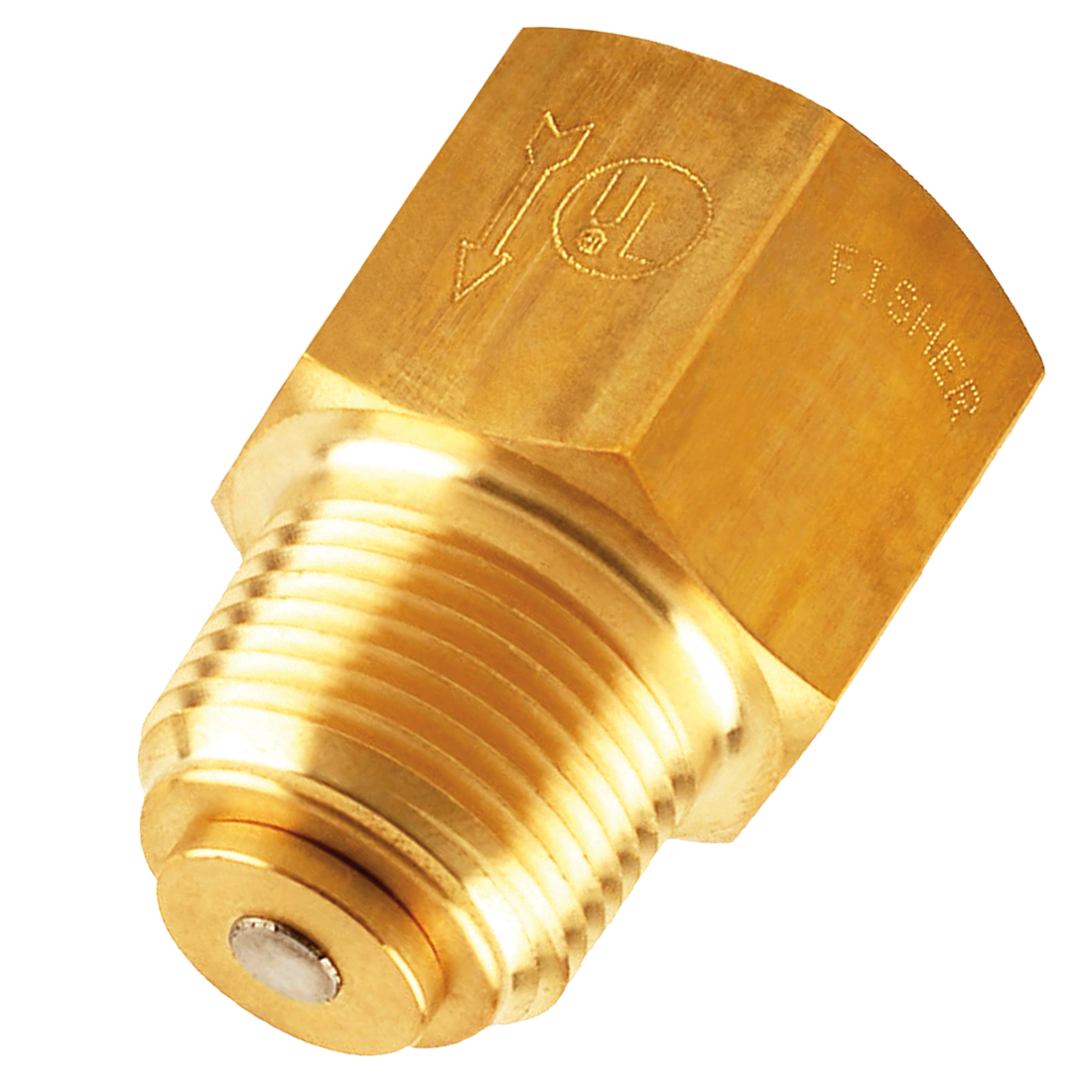 G102 (Fisher) Valve-Back Check 2 Mpt X 2 Fpt Brass