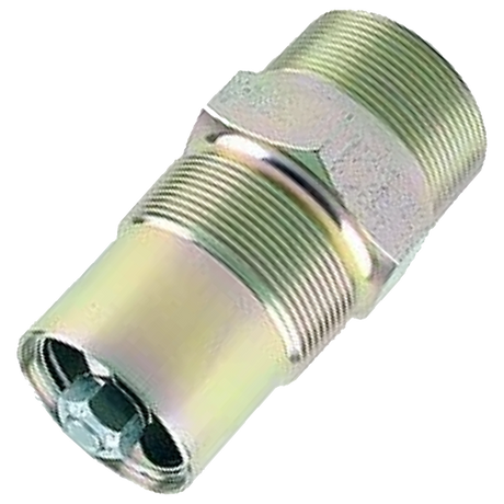 G105 (Fisher) Valve-Bck Check 2X2Mpt Or 1-1/4 Fpt Stl