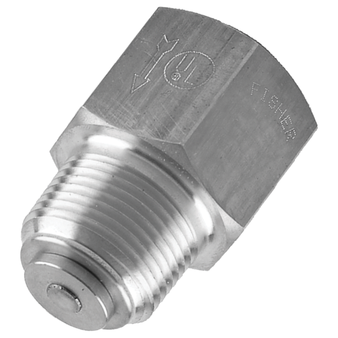 G112 (Fisher) Valve-Back Check 2 Mpt X 2 Fpt Steel