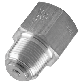 G112 (Fisher) Valve-Back Check 2 Mpt X 2 Fpt Steel