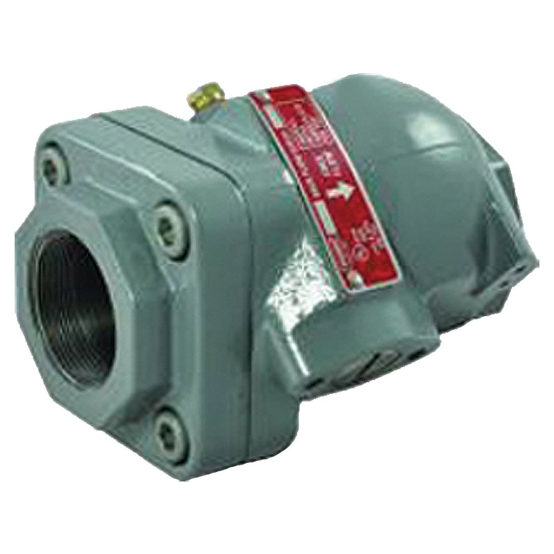 G200-10 (Fisher) Valve-Bck Chk 1-1/4 Fpt X 1-1/4 Fpt Std