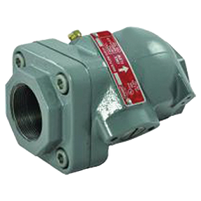 G200-16 (Fisher) Valve-Bck Check 2 Fpt X 2 Fpt Std Soft