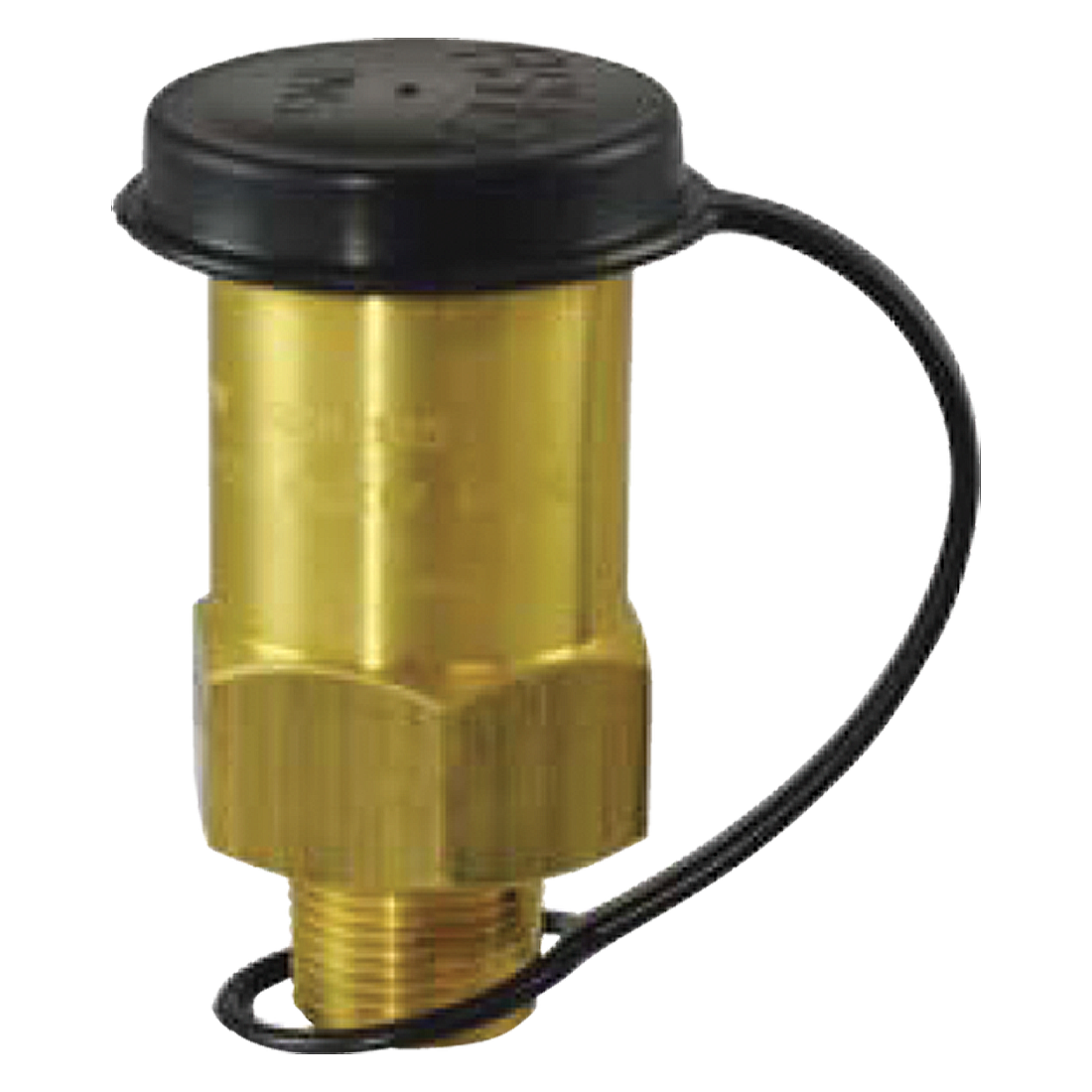 H203-250 (Fisher) Valve-Relief 1 250 Psi