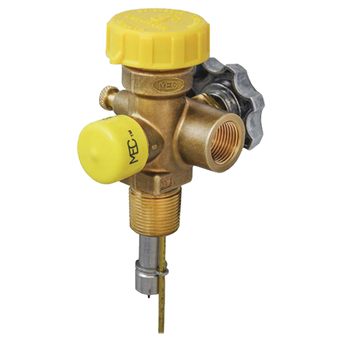 MES-PVE2030BC-11.6 (Marshall Excelsior) Valve-Clus 100-200Lb Dot 3/4Ngt 11.6 Dip