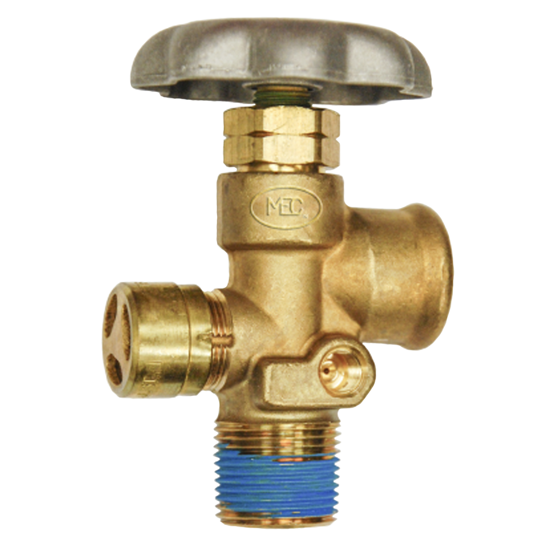 Fpol Connection MES-PVE3250BC-312 (Marshall Excelsior) Valve-Vpr Svc 3/4 Mpt X Fpol 31