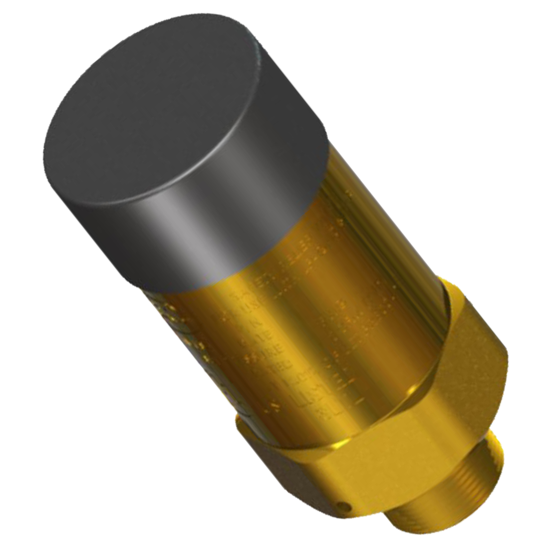 MEV125B/250 (Marshall Excelsior) Valve-Ext Relief 1-1/4 Mpt 250 Psi Br