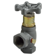 N401-08 (Fisher) Valve-Angle 1 Fpt