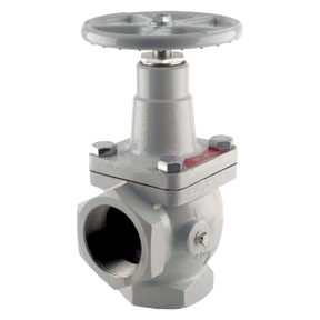 N410-10 (Fisher) Valve-Angle 1-1/4 Fpt
