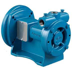 LP-RC20-2 (Blackmer) Pump-Ebsray Coup