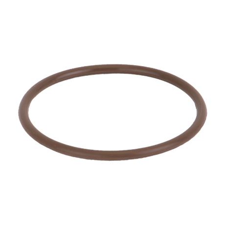 LS100-GV (Banjo) Gasket-Strainer 1 Line Fkm