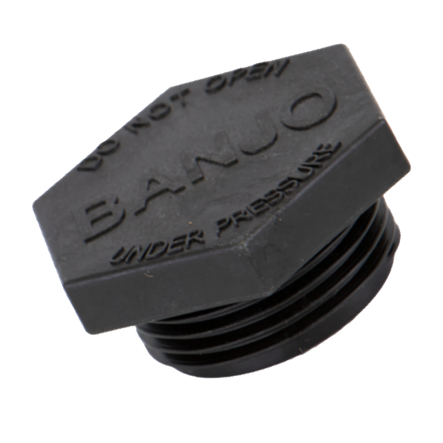 LSQ200-PL (Banjo) Plug-2 Fp Mfld Strainer