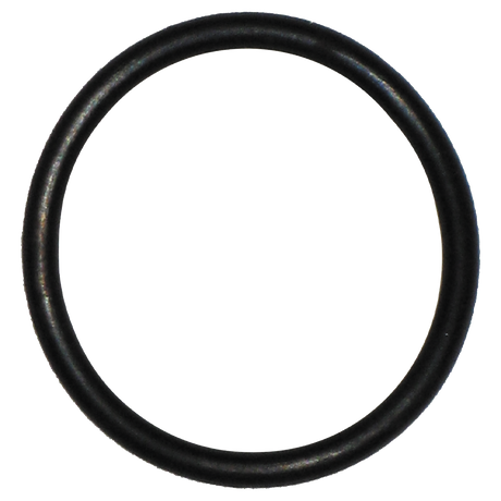 LSQ200-R (Banjo) O-Ring-2 Clean Out Plg Epdm