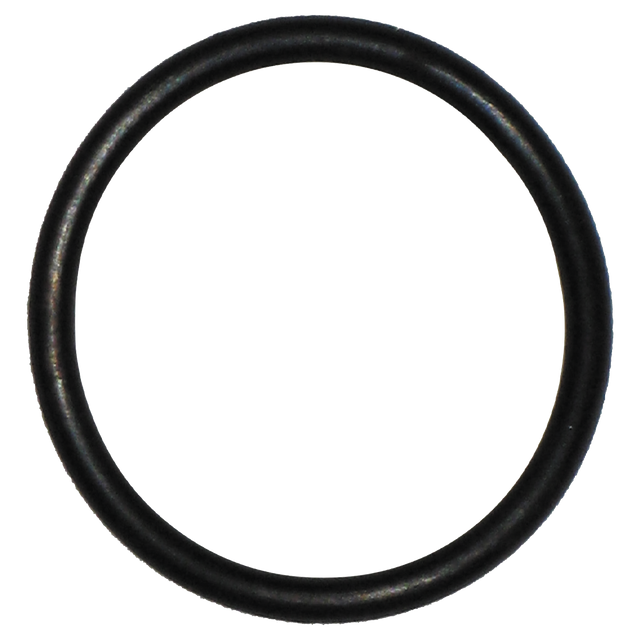 LSQ200-R (Banjo) O-Ring-2 Clean Out Plg Epdm