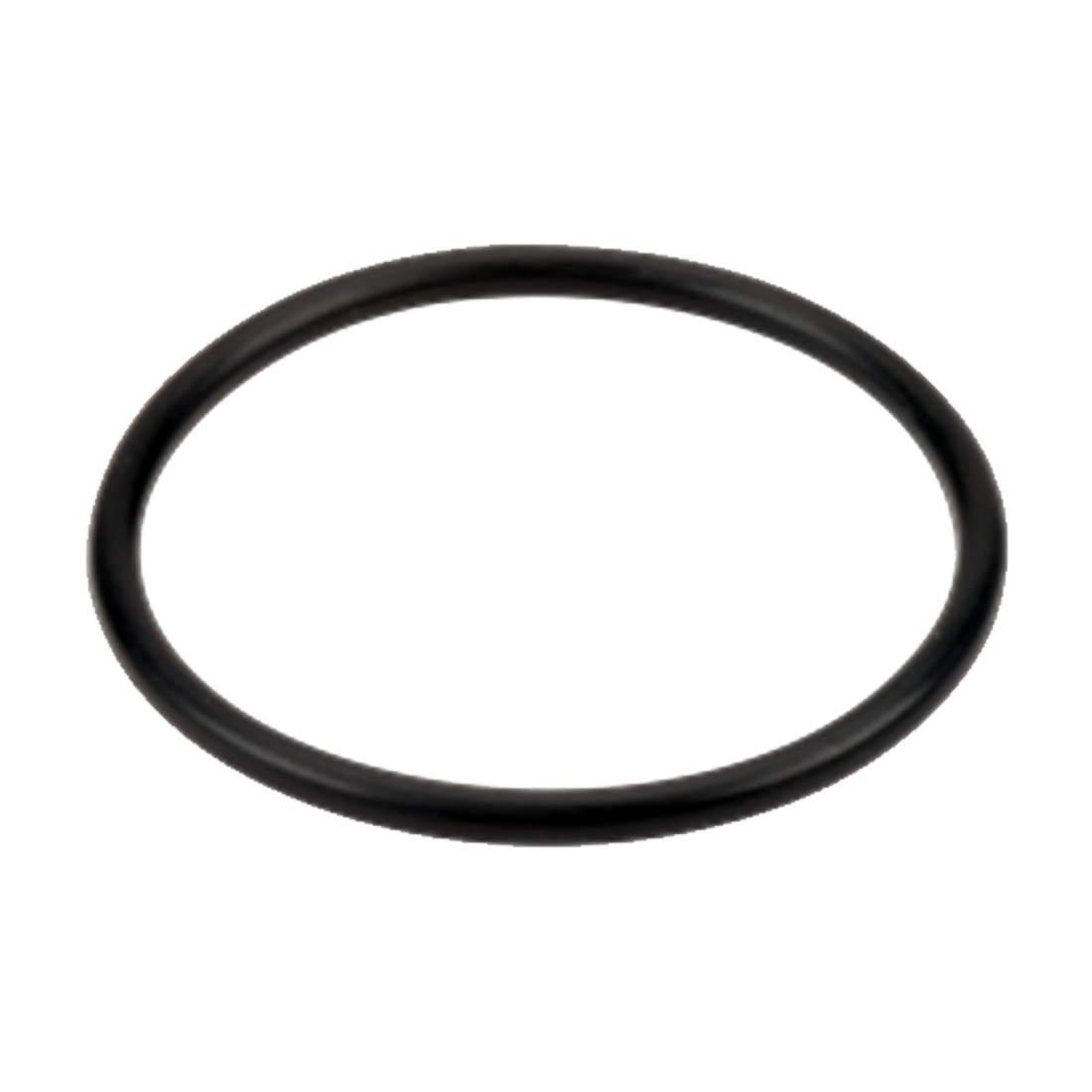 LST100-G (Banjo) Gasket-3/4 Or 1 Poly T Strainer Epdm