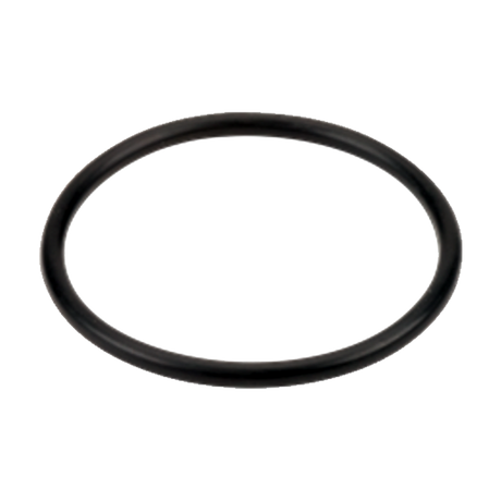 LST100-G (Banjo) Gasket-3/4 Or 1 Poly T Strainer Epdm