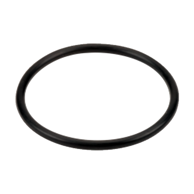 LST100-G (Banjo) Gasket-3/4 Or 1 Poly T Strainer Epdm