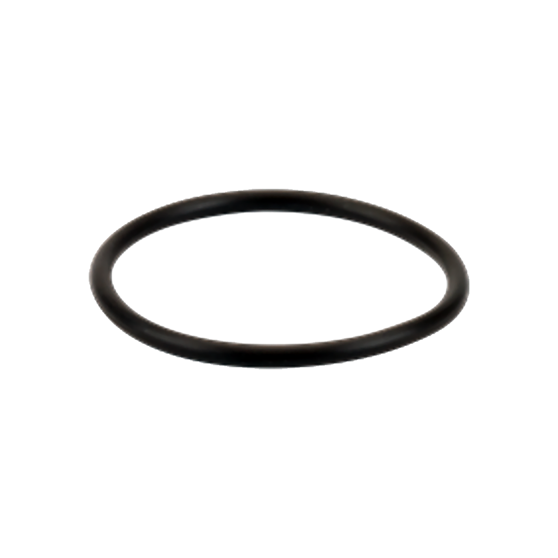 LST100-GV (Banjo) Gasket-3/4 Or 1 Poly T Strainer Viton