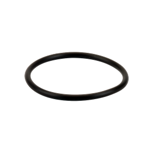 LST100-GV (Banjo) Gasket-3/4 Or 1 Poly T Strainer Viton