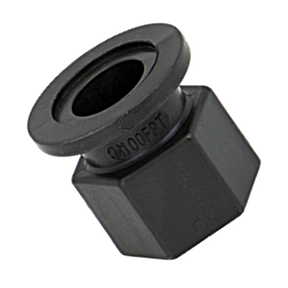 M100FPT (Banjo) Fitting-1 Fpt X 1 Flg