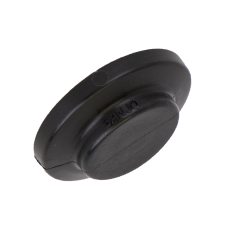 M100PLG (Banjo) Plug-1 Flg Solid