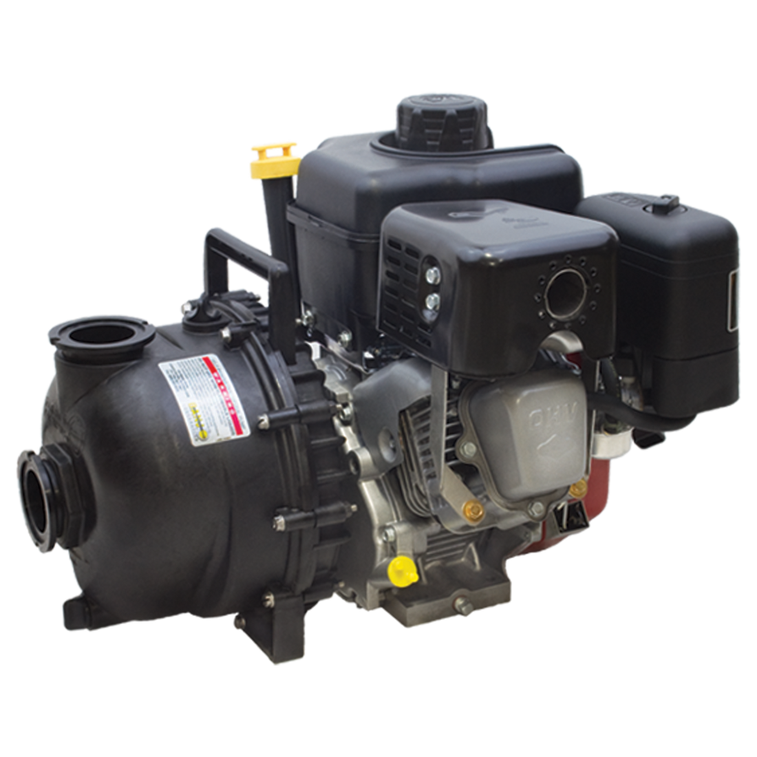 M220P6PROW (Banjo) Pump-Mfld 2 Fp Sup Pump 6.5Hp B&Spro Ws