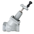 ME825-24 (Marshall Excelsior) 3 In. FNPT Full Flow Globe Valve,