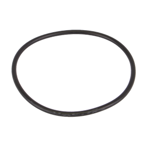 MLS300ECG (Banjo) Gasket-3 End Cap Epdm