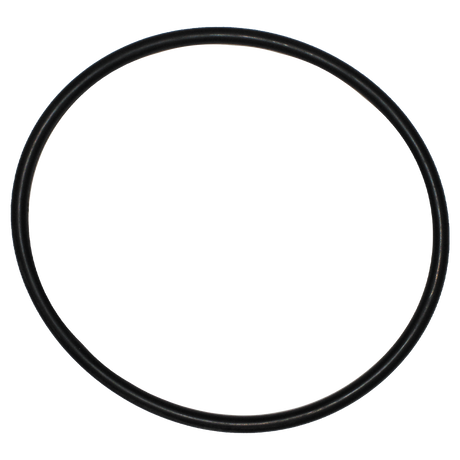 MLS300ECGV (Banjo) Gasket-End Cap 3 Viton