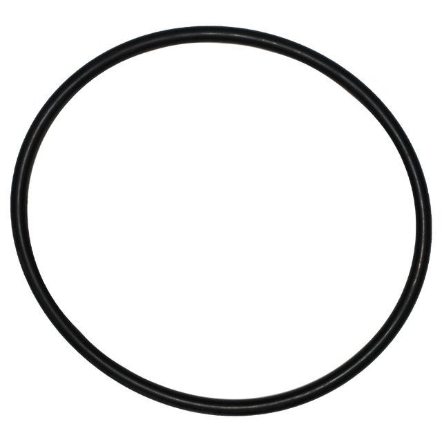 MLS300ECGV (Banjo) Gasket-End Cap 3 Viton