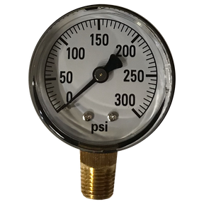 1124DAB300 | Gauge-1/4 Mpt Br Btm Mt 2 Dry 0-300Psi