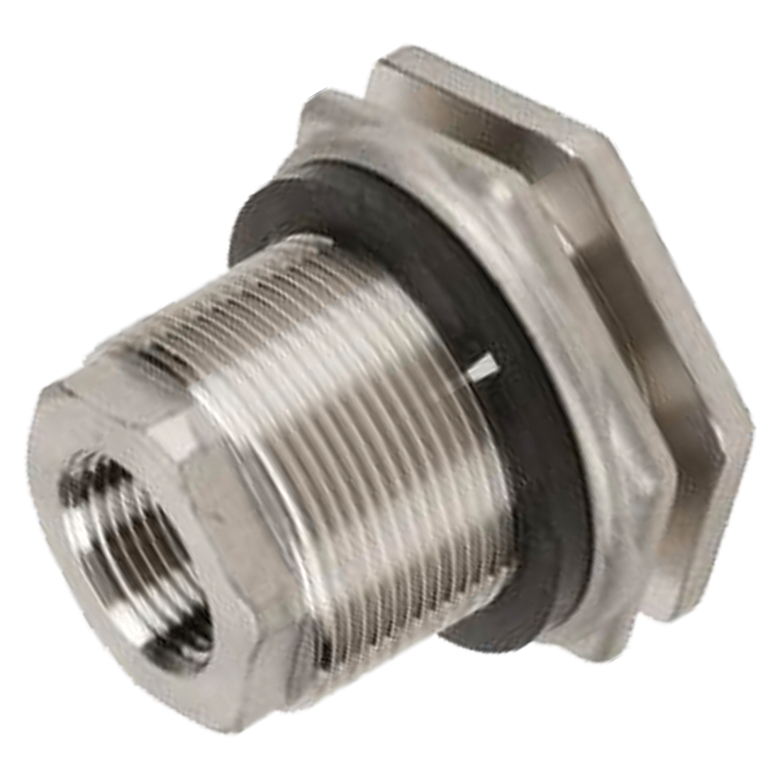 TF100SS (Banjo) Bulkhead-1 Ss