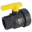 UV100FP (Banjo) Valve-Ball 1 Single Union Poly