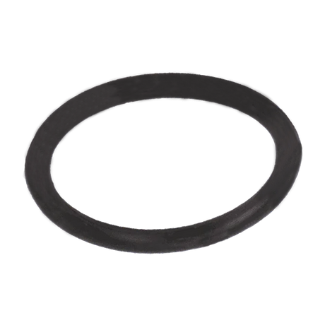 UV15163 (Banjo) O-Ring-1-1-1/4 Drn Plg Epdm