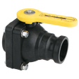 VSF204FP (Banjo) Valve-Ball Fp 2 Mada X 2 Fpt Stub
