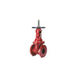 4-48OSY (Wilkins) | Gate Valve 4 Osy Flg X Flg | Osy Gate Valve | Flanged X Flanged