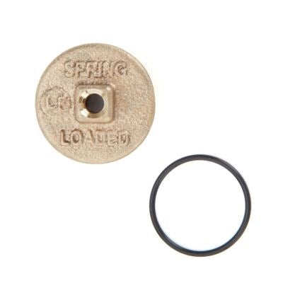 0794145 (Watts) | RK 919 C 3/4 to 1 LF Lead Free | 1st or 2nd Check Cover Kit